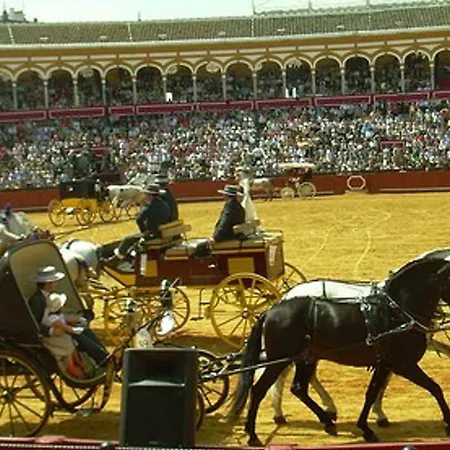 San Jose Lejlighed Sevilla